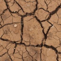 Will Global Warming Benefit Civilization?
