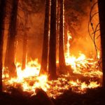 Warming to Blame for Western Wildfires?